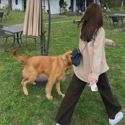 女高男低