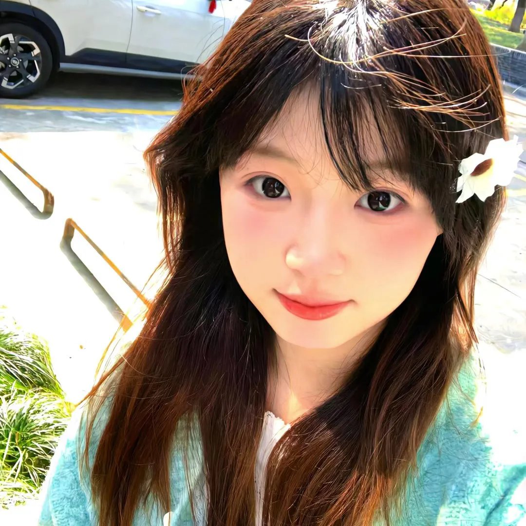 鱼影之群